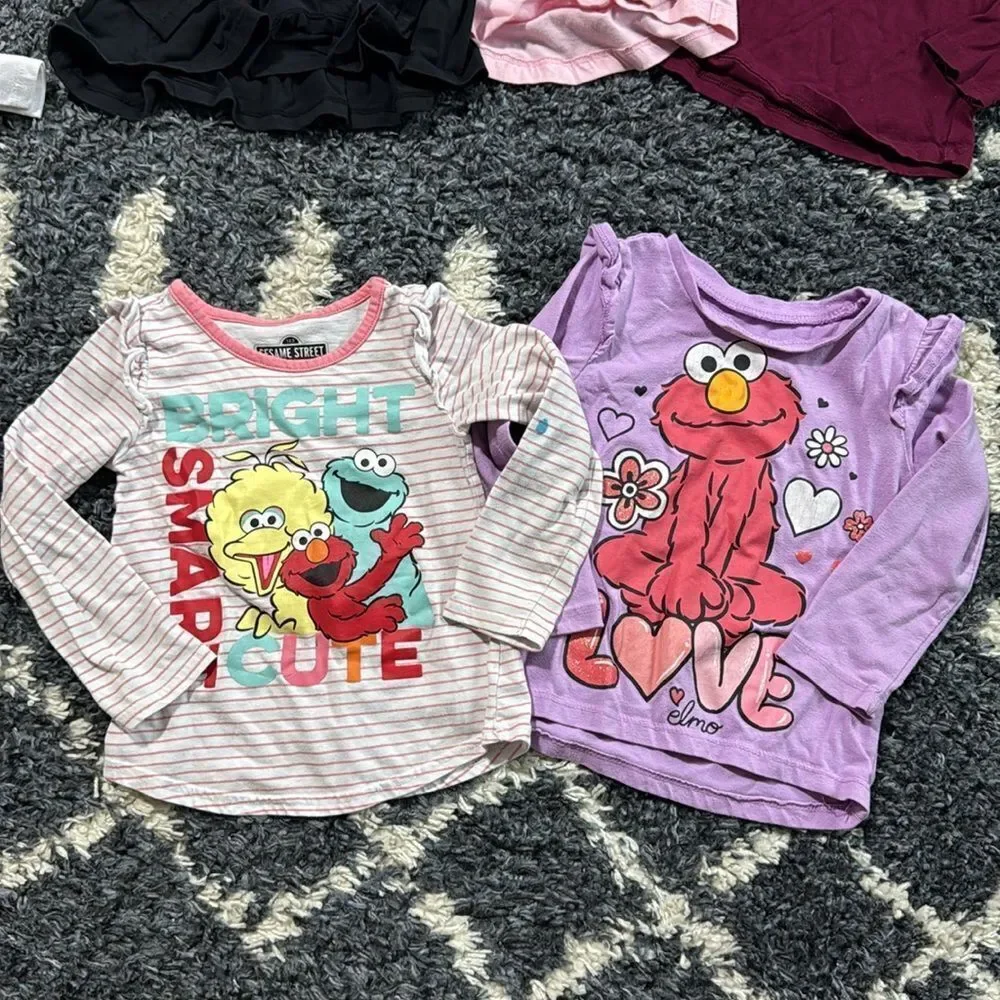 Bundle of 13 Toddler Tops